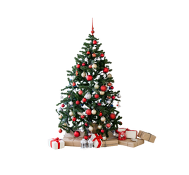 Natal